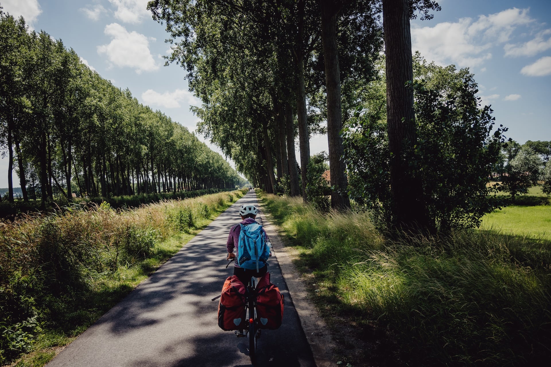 Bikepacking along a tree-lined path with tall grass and blue sky in Flanders.